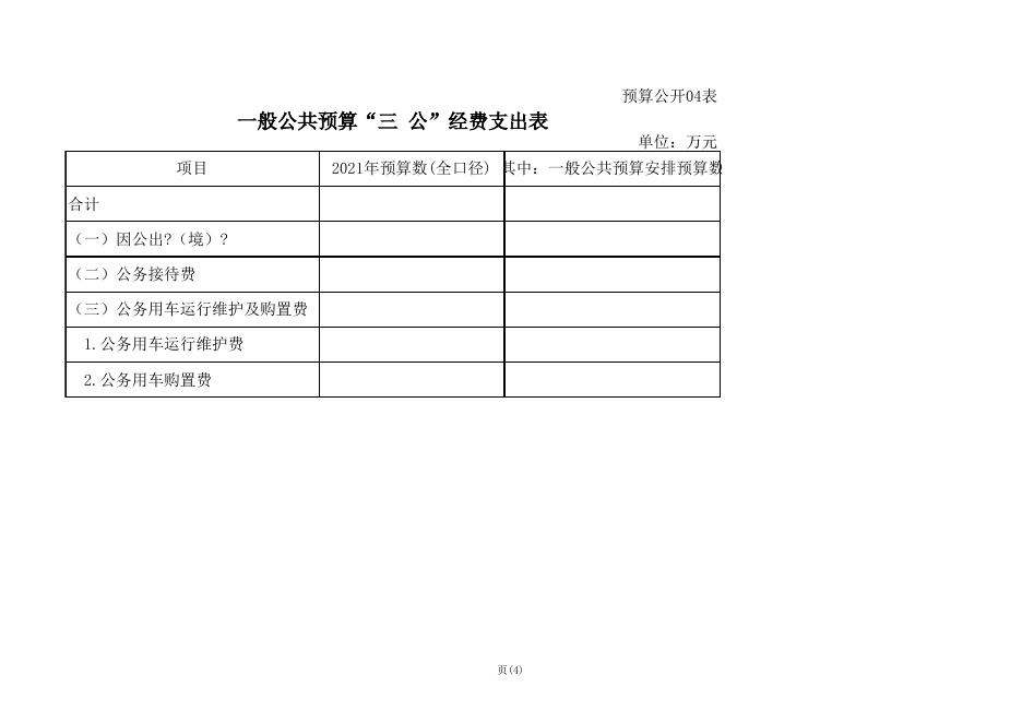 东津维新小学2021年部门预算.xls