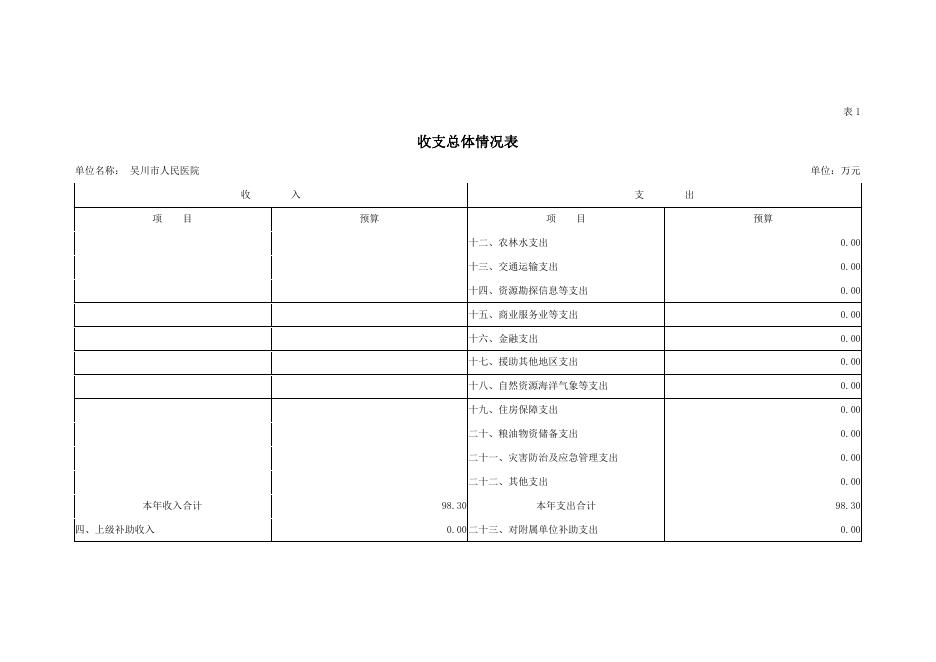2019年吴川市人民医院部门预算公开.pdf
