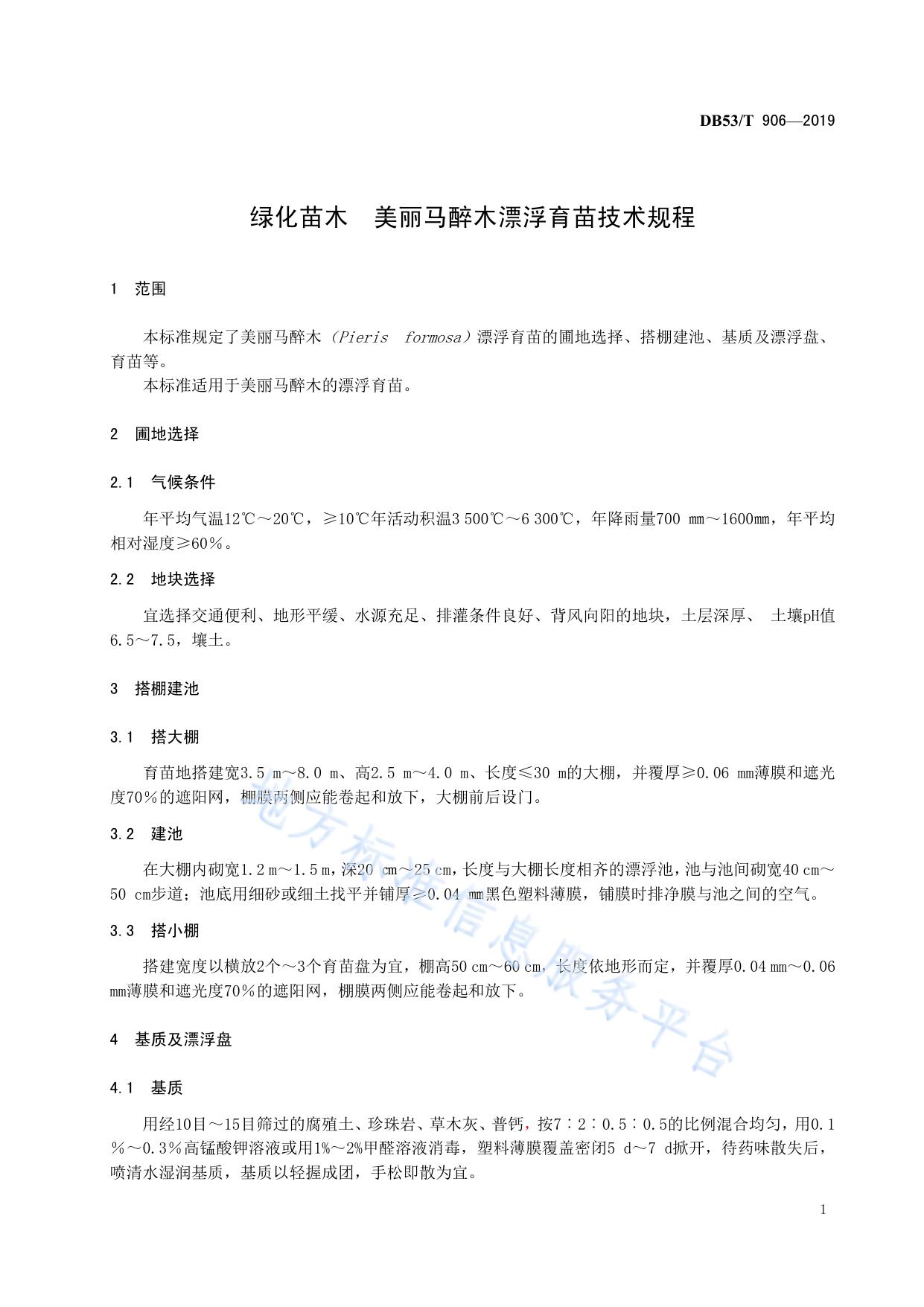 绿化苗木 美丽马醉木漂浮培育技术规程